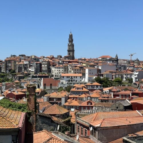 STANFORD所属のモデル・駒澤晴信の好きなもの③旅