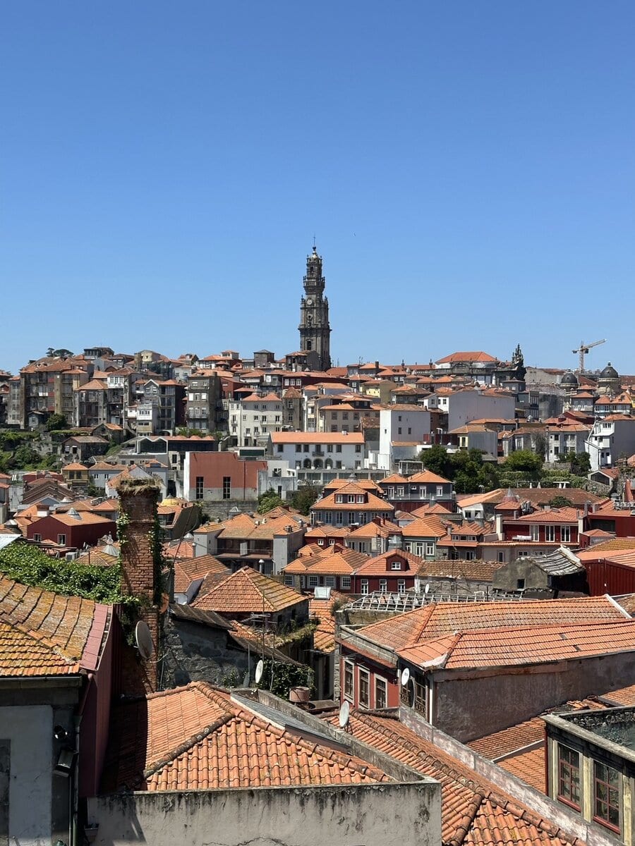 STANFORD所属のモデル・駒澤晴信の好きなもの③旅