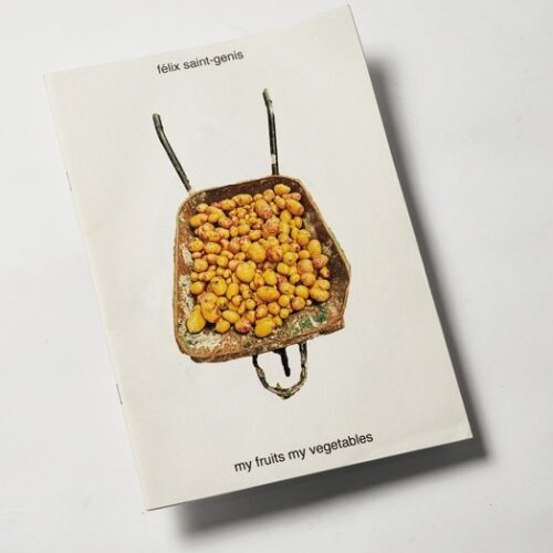 中三青果店 3代目・KAITOのベストバイ　félix saint-genisのmy fruits my vegetables