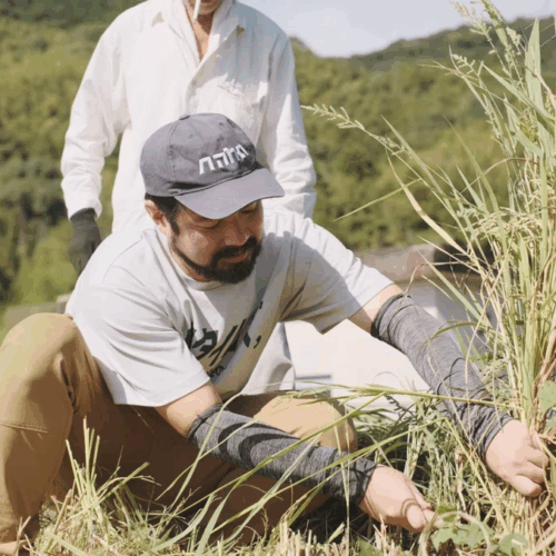 ご飯のお供専門家長船クニヒコさんの稲刈り