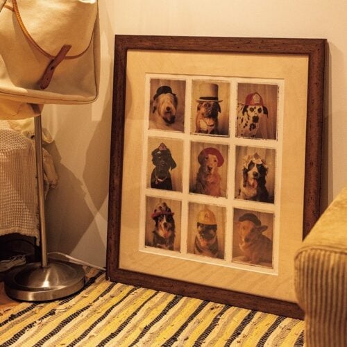 会社員・伊藤亜力さん(32歳)のお部屋(東京・1R)のお部屋スナップ