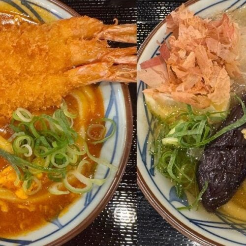 丸亀製麺新作はガッツリ「海老カツトマたま」かさっぱり「なすおろし冷かけ」どっちが好み！？暑い日にぴったりな2種の新作うどんをレポート