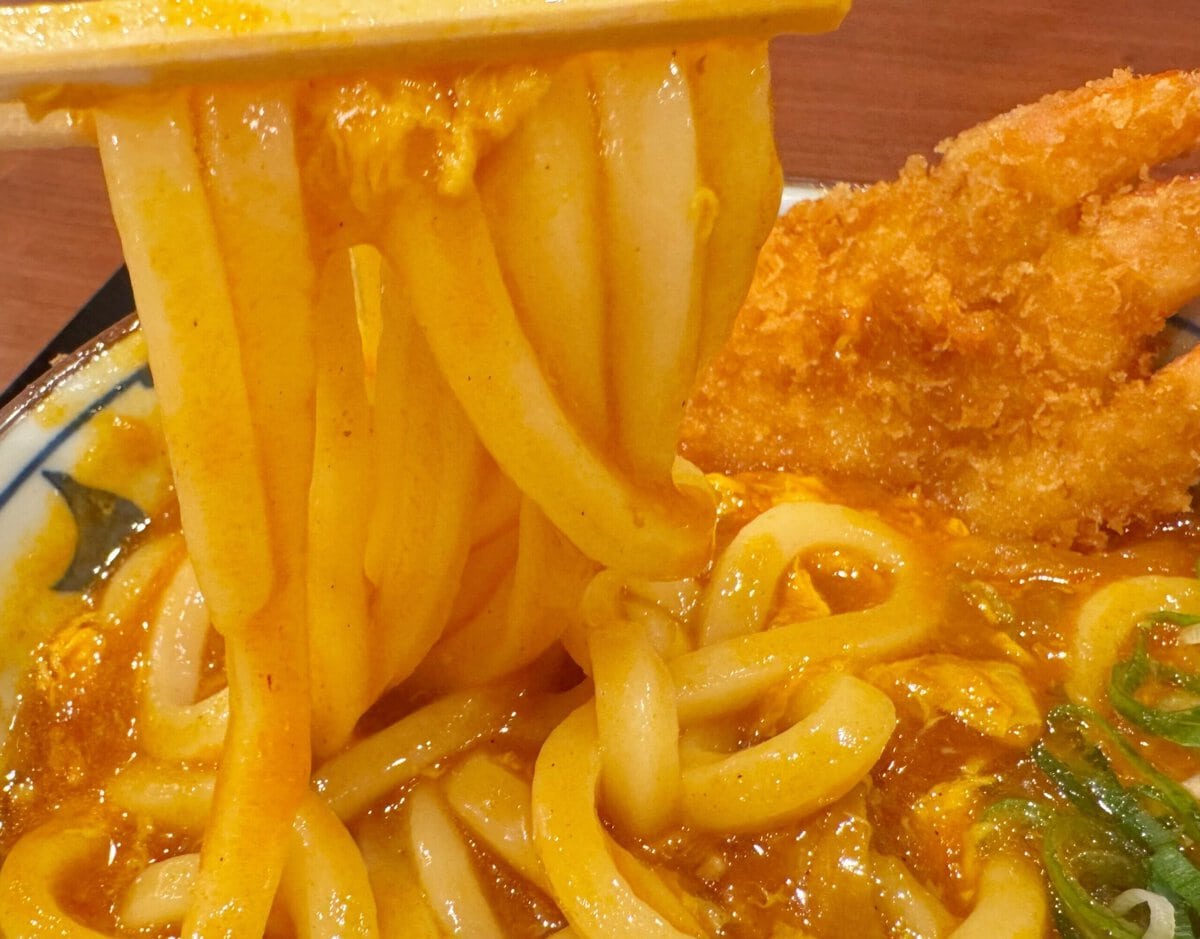 濃厚なスープが麺によく絡む