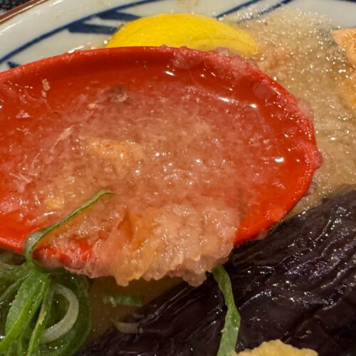 定番の冷かけだしはキリっとした塩味と複数の削り節や煮干し・昆布からとる旨味がバランスよく調和したすっきりと飽きのこない味わい