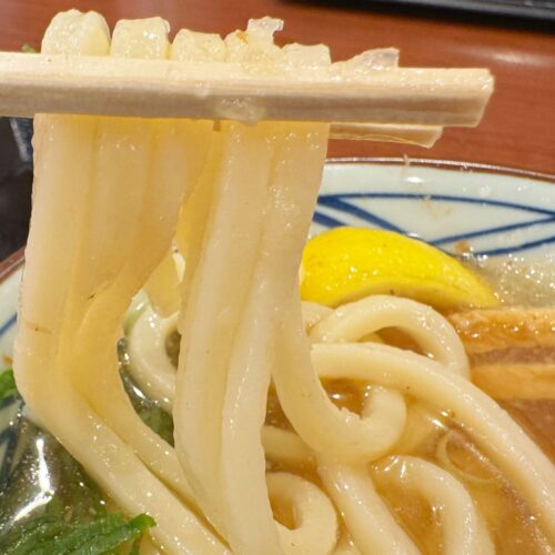 冷やかけだしとうどんの相性はいわずもがな！