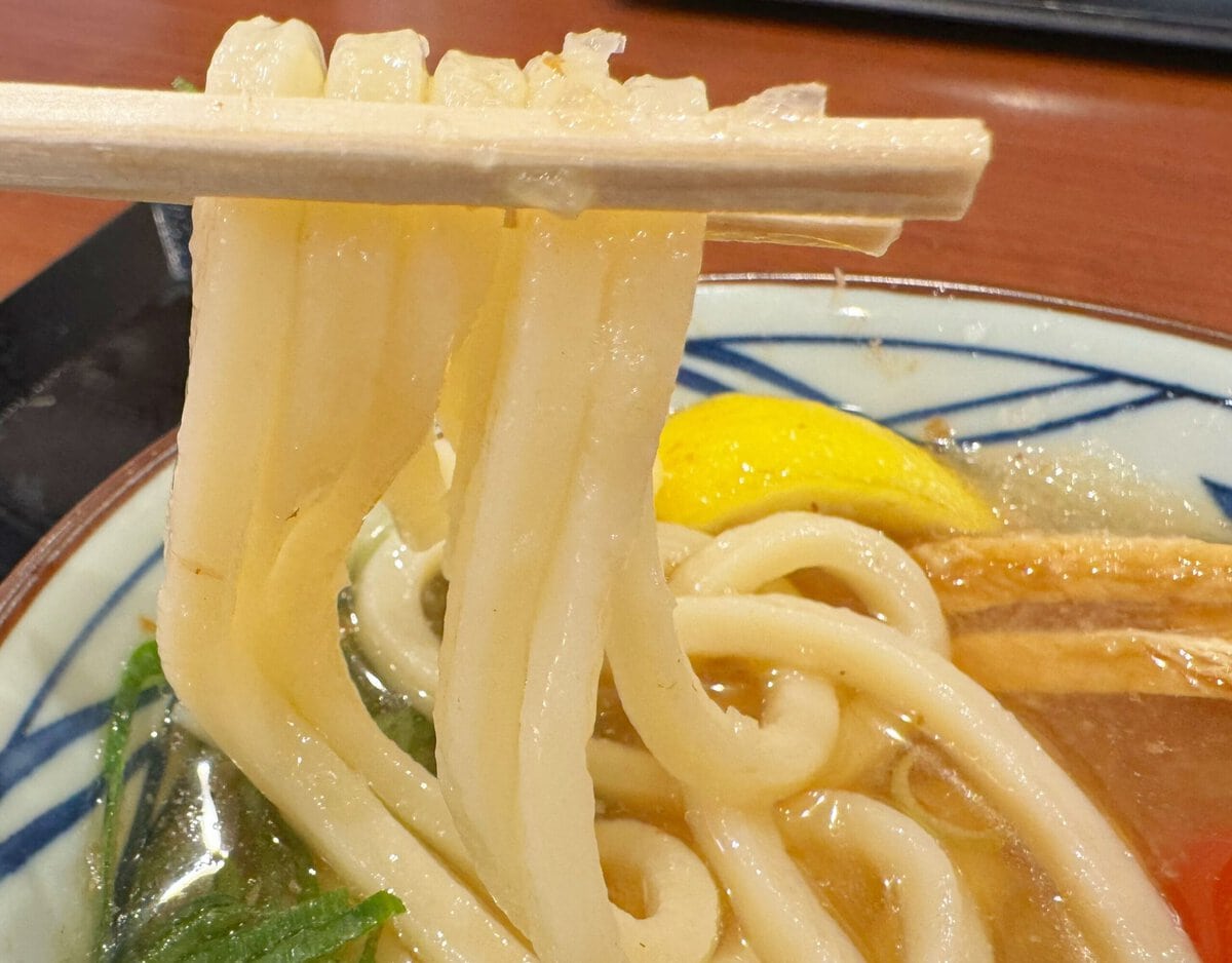 冷やかけだしとうどんの相性はいわずもがな！