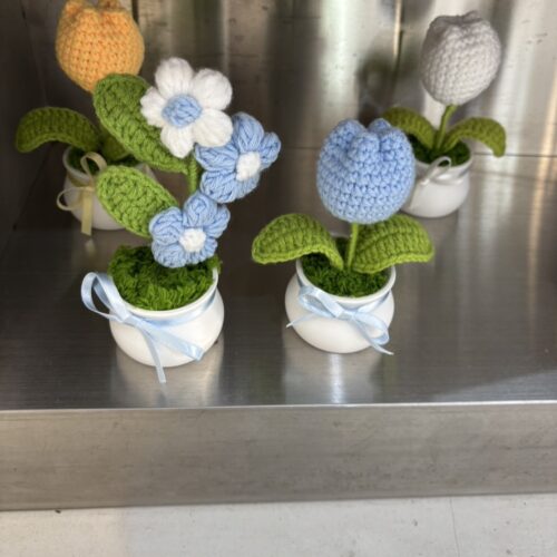 STANFORD所属のモデル・リアナの好きなもの①韓国の雑貨屋さん巡り