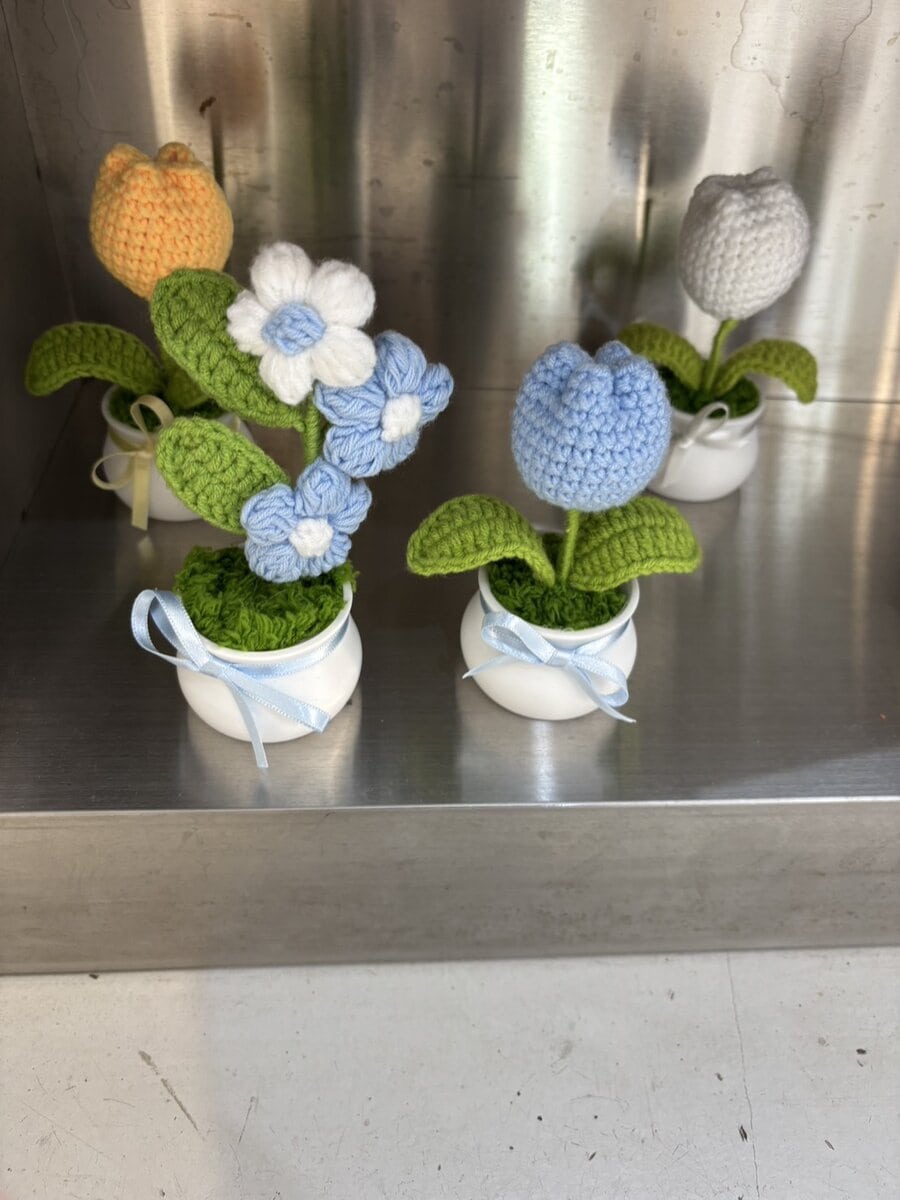 STANFORD所属のモデル・リアナの好きなもの①韓国の雑貨屋さん巡り