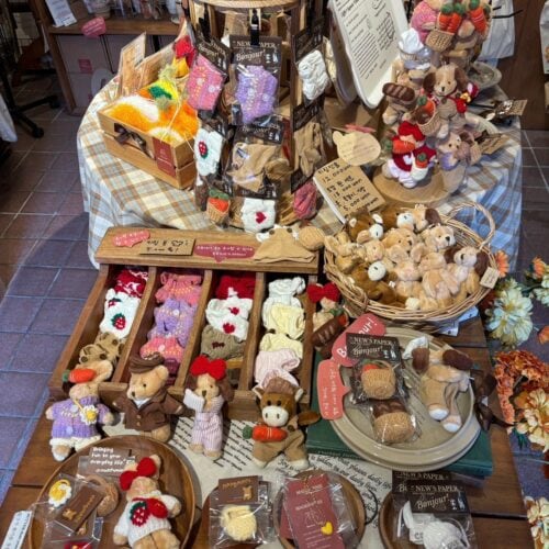 STANFORD所属のモデル・リアナの好きなもの①韓国の雑貨屋さん巡り