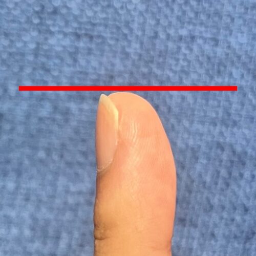 爪の切り方1