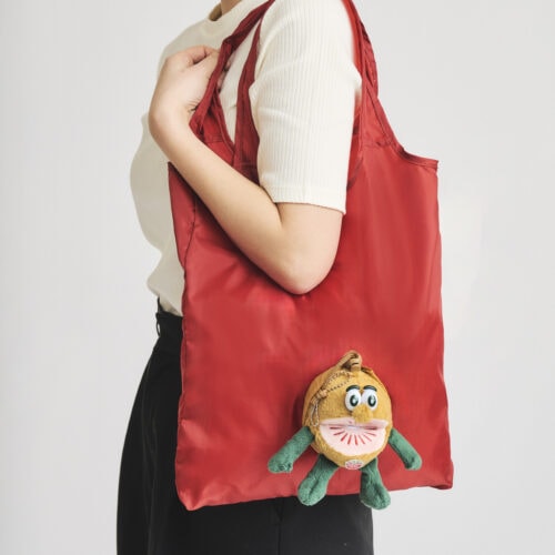 【神付録】売り切れ前に欲しい!可愛すぎるゼスプリ「キウイブラザーズ」のぬいぐるみエコバッグが話題