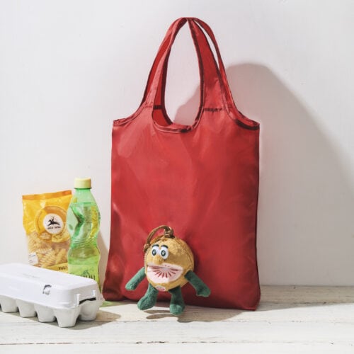 【神付録】売り切れ前に欲しい!可愛すぎるゼスプリ「キウイブラザーズ」のぬいぐるみエコバッグが話題