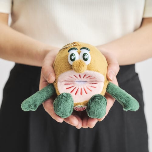【神付録】売り切れ前に欲しい!可愛すぎるゼスプリ「キウイブラザーズ」のぬいぐるみエコバッグが話題