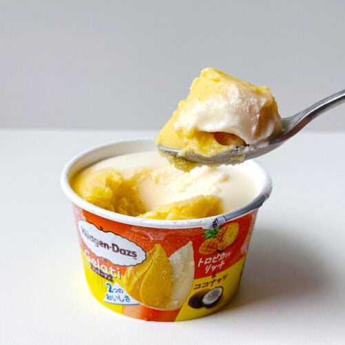 ハーゲンダッツ ミニカップ Gelati トロピカルリッチ&ココナッツ