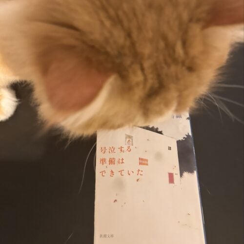 STANFORD所属のモデル・田澤明日香の好きなもの②読書