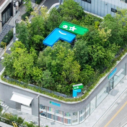 屋上の森