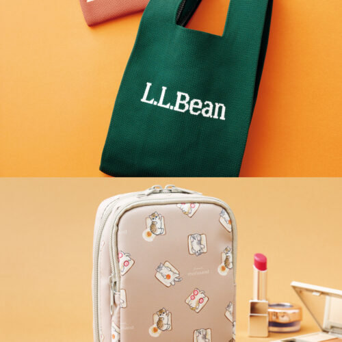 【次号L.L.Beanとモフサンドの付録を速報】L.L.Bean(エルエルビーン)のニットバッグとモフサンドの自立2層ポーチどっちもほしい!:9/18発売リンネル2026年11月号・11月号増刊の付録をご紹介します