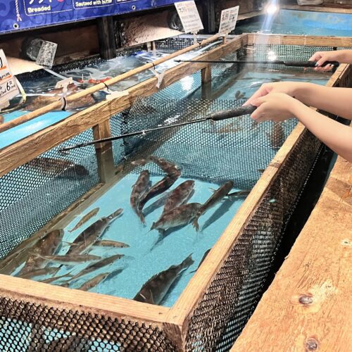釣りの様子