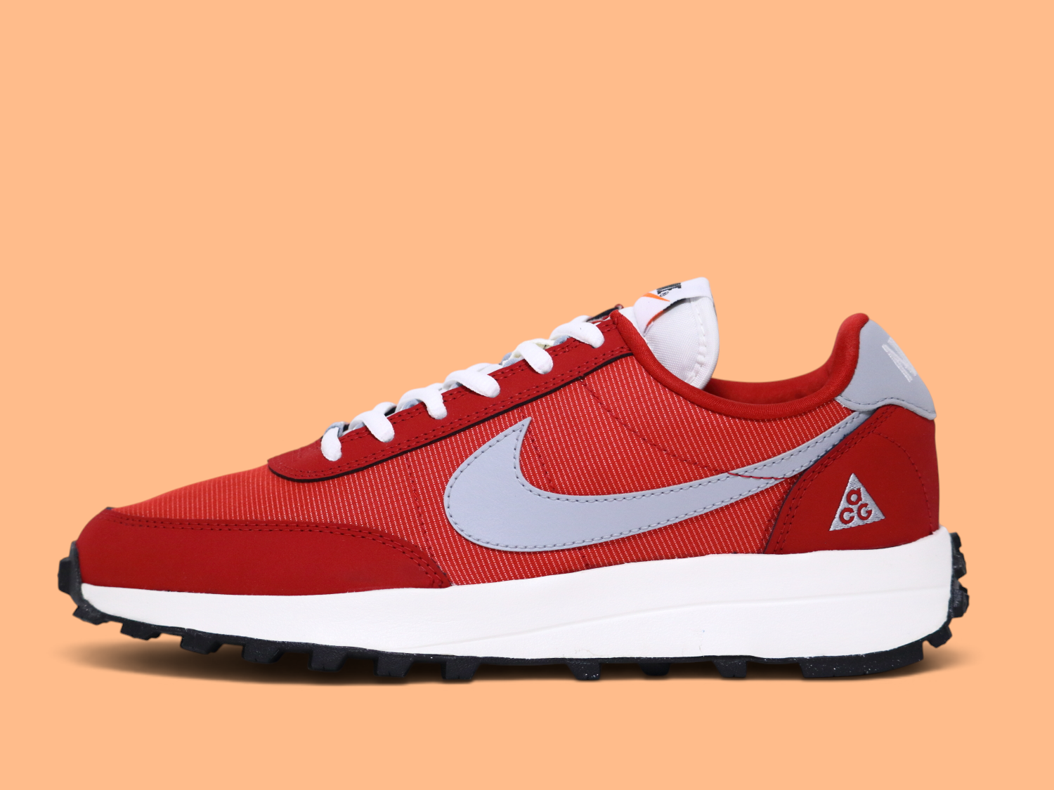 ナイキの「ACG LDV」¥19,250
