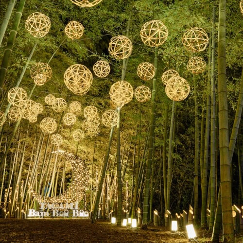 夜の竹林に作られた竹工作のトンネル。アーチ状の竹が幾重にも重なっている