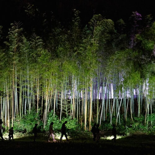 夜の竹林。竹の間に浮かぶ、発光するリング状のアート作品と、その下を歩く人々のシルエット