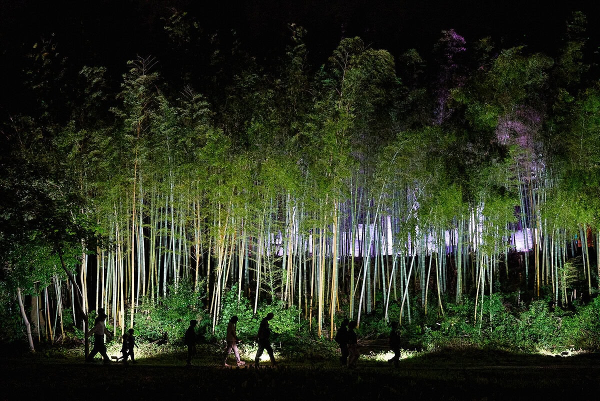 【人口1万人の町に5万人が殺到!?】新潟・田上町の「竹あかりアート」が幻想的すぎる！映え空間と絶品フードを現地レポ