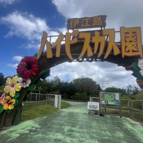 ハイビスカス