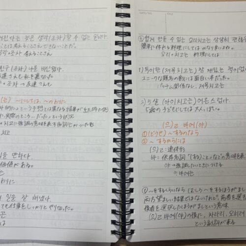 STANFORD所属のモデル・シュレの好きなもの②韓国語の勉強