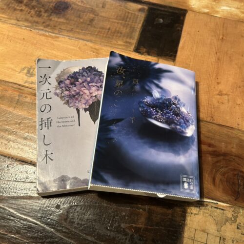 STANFORD所属のモデル・清水麗詩の好きなもの③本