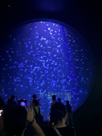 Singapore Ocearnarium