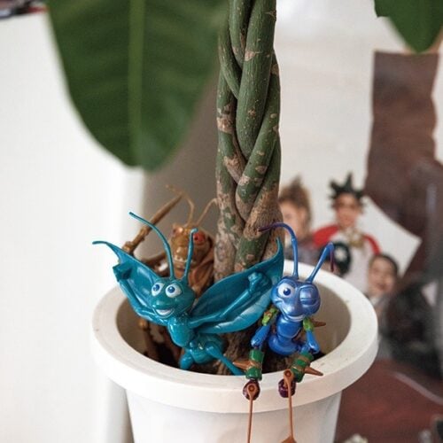 モデル 悠杏さん(24歳)のお部屋(東京・1LDK)スナップ