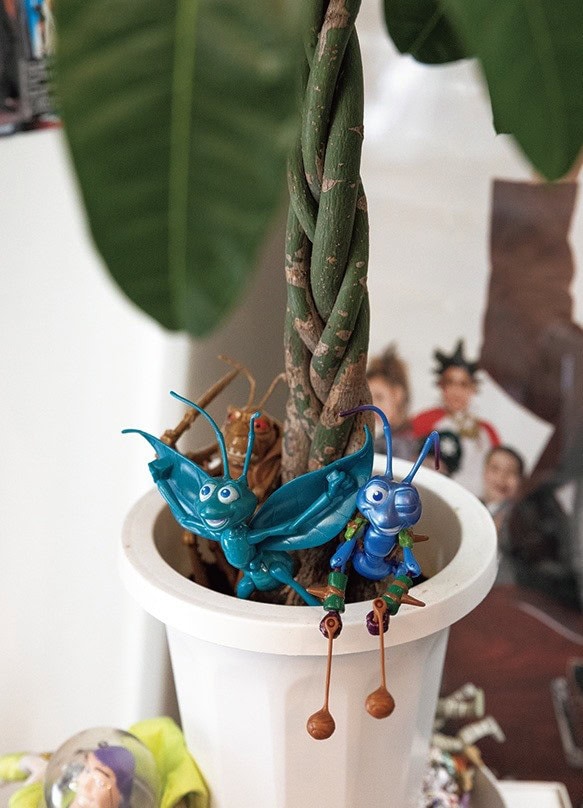 モデル 悠杏さん（24歳）のお部屋（東京・1LDK）スナップ