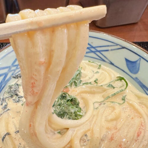 うどんにクリームだしがよく絡む