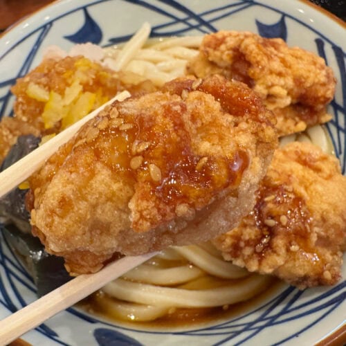 大ぶりのからあげがのったわんぱくな一杯