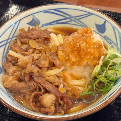 鬼おろし肉ぶっかけうどん