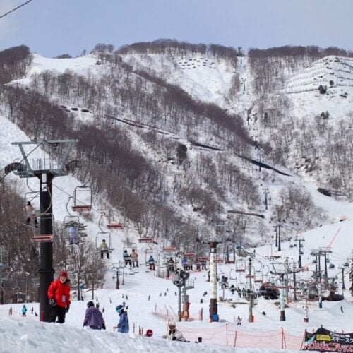 GWは絶対に「白馬」がおすすめな2つの理由!リフト券がお得&“雪と新緑”をハシゴできる、春のHakuba Valley攻略法