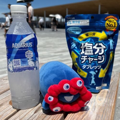 真夏の大阪万博で倒れないために！必携の冷却グッズ、涼スポット…現地で検証した“猛暑サバイバル術”完全ガイド