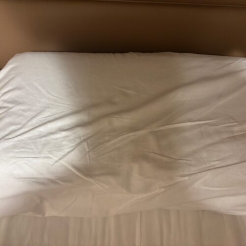 持って帰りたいくらいよかった「ヒツジのいらない枕®」
