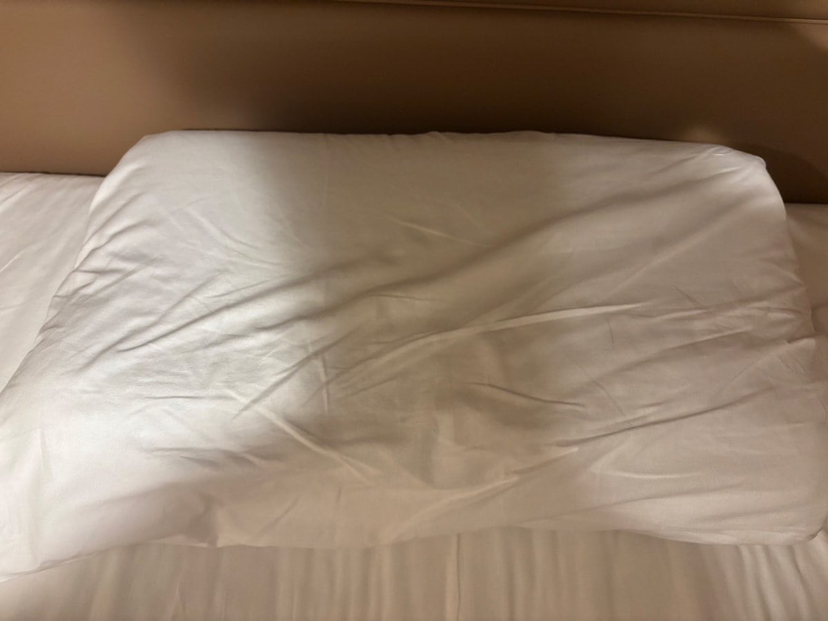 持って帰りたいくらいよかった「ヒツジのいらない枕®」