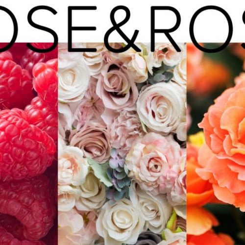 「ROSE&ROSE:フローラル×フルーティ×ローズ」。フレッシュなラズベリー、ペアー、ピンクペッパーに2種類のローズを重ね たみずみずしい甘さの可愛らしい香り