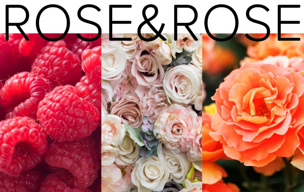「ROSE&ROSE:フローラル×フルーティ×ローズ」。フレッシュなラズベリー、ペアー、ピンクペッパーに2種類のローズを重ね たみずみずしい甘さの可愛らしい香り